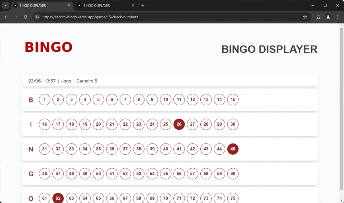 Bingo Displayer screenshot 2